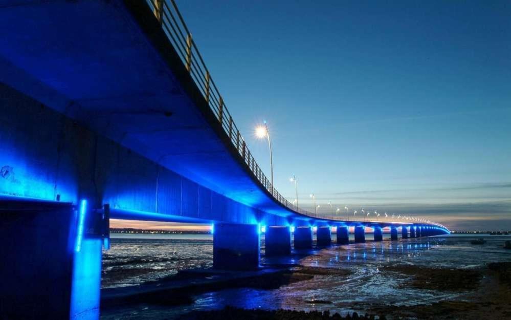 Mer A 200M,,Ds Les Mimosas En Fleur ! Ronce-les-Bains Exterior foto